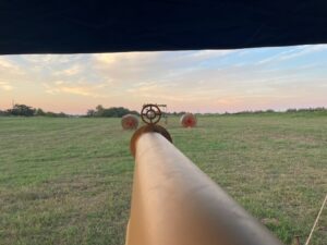 Apple Blaster aiming down the barrel 1