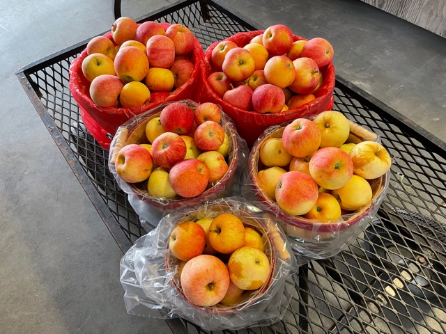 Local Gala Apples