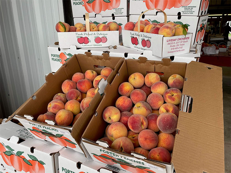 Half Bushels of Peaches
