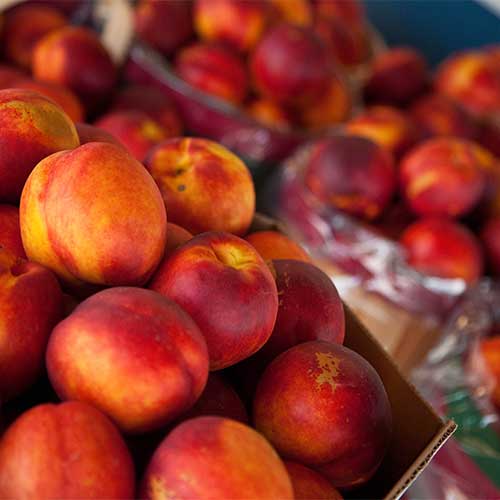 Pre-picked nectarines from our Porter Orchards.