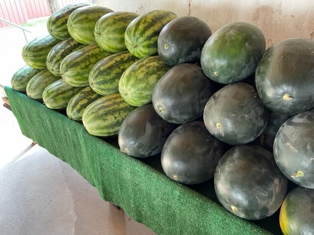 Seeded and Seedless Watermelon